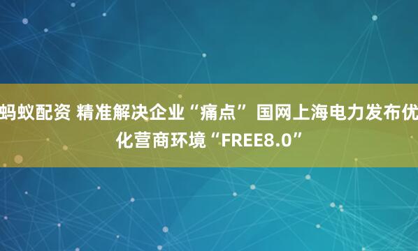 蚂蚁配资 精准解决企业“痛点” 国网上海电力发布优化营商环境“FREE8.0”