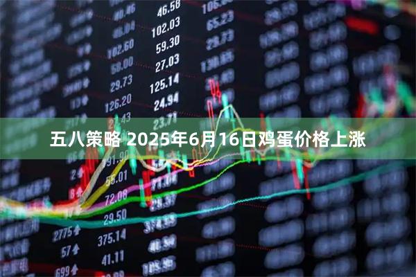 五八策略 2025年6月16日鸡蛋价格上涨