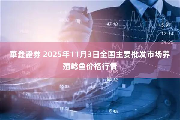 華鑫證券 2025年11月3日全国主要批发市场养殖鲶鱼价格行情